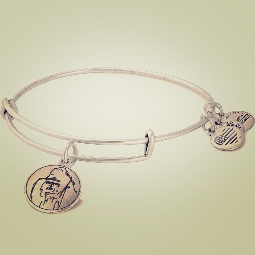 Alex and Ani Ellen Be Kind Bracelet ❤️